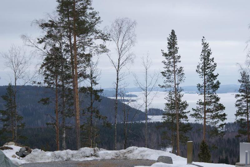 Riihivuoren Lomakylae Muurame Bilik gambar